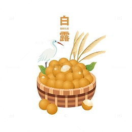 白露节气龙眼芦苇元素