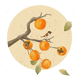 秋天柿子手绘图