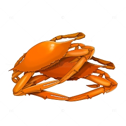 秋高蟹肥梳子蟹海鲜美食宵夜手绘卡通元素