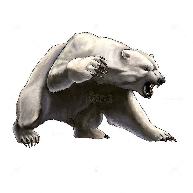 愤怒的白熊