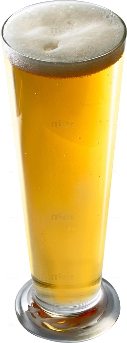 托盘啤酒