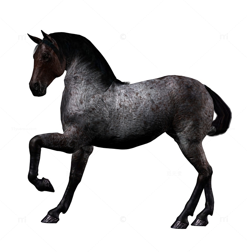 3D建模站立的马