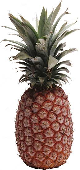 一颗菠萝