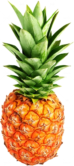 实物菠萝