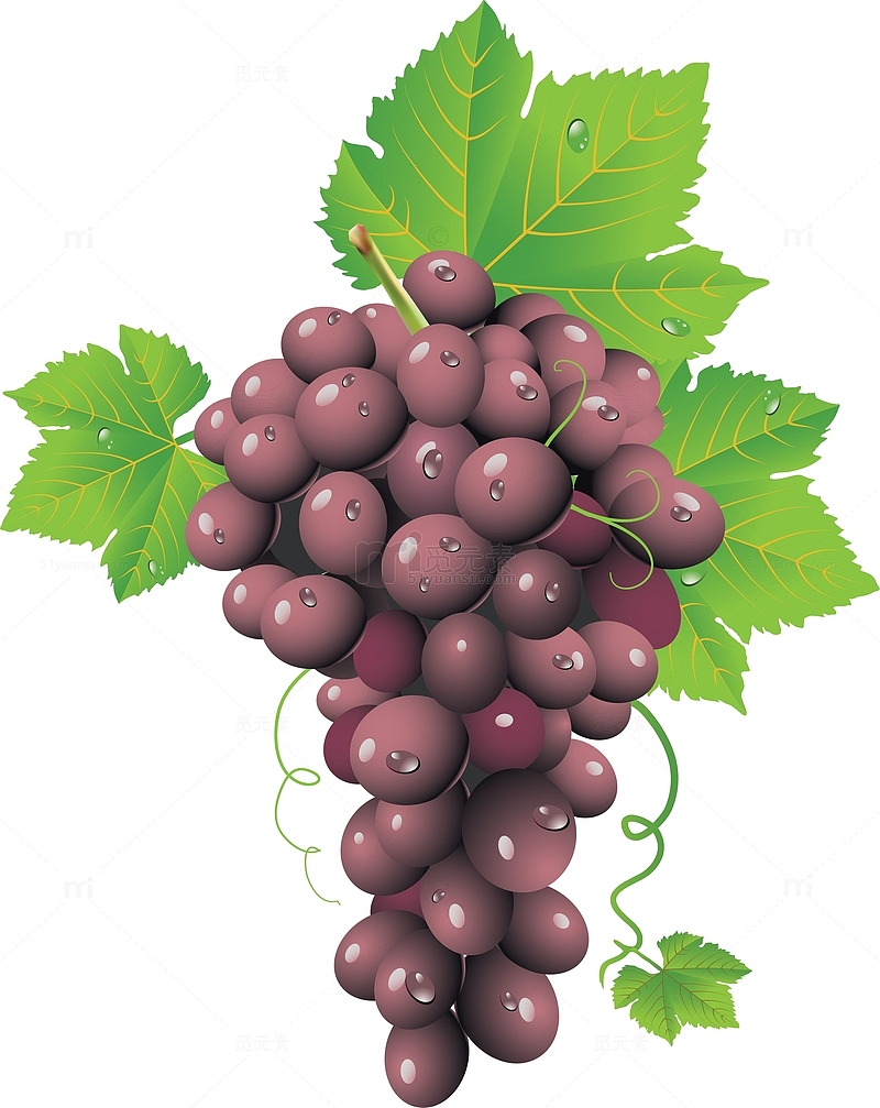 一串深紫色葡萄
