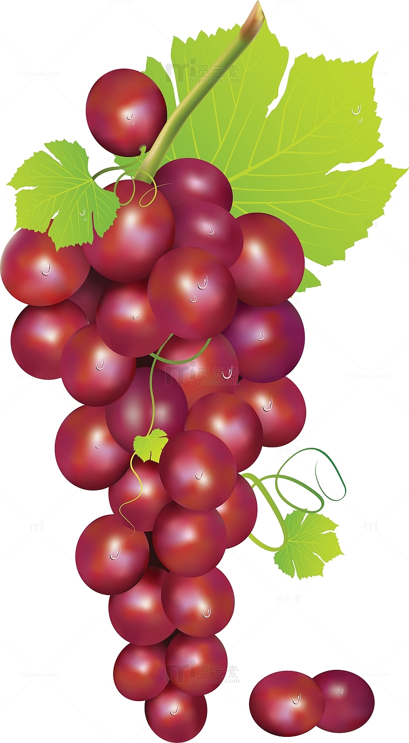 一串绛紫色的葡萄