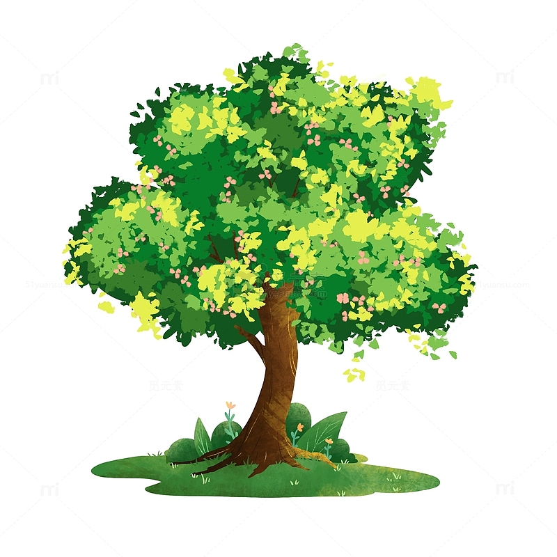 手绘植物树木小树绿植元素