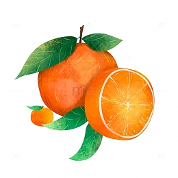 手绘水果橘子橙子插画元素