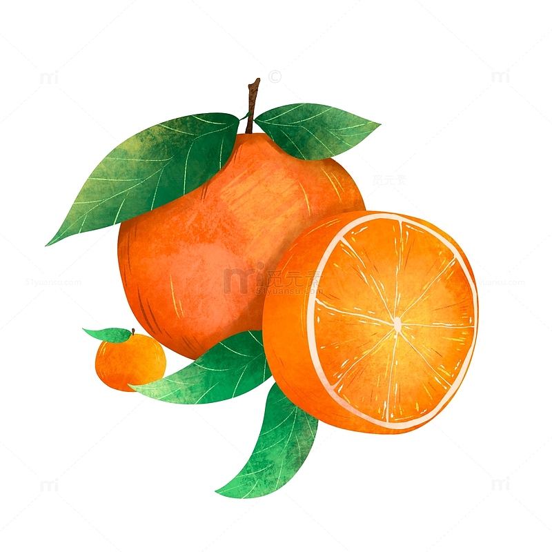 手绘水果橘子橙子插画元素