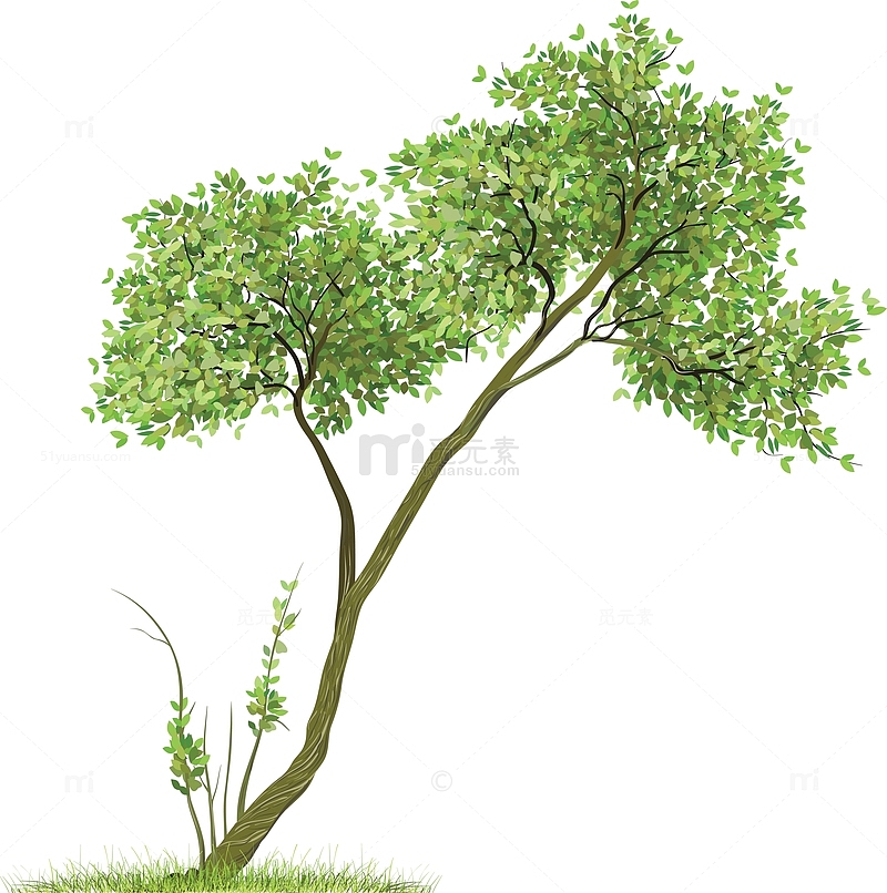 绿色小树生态维护环境植物