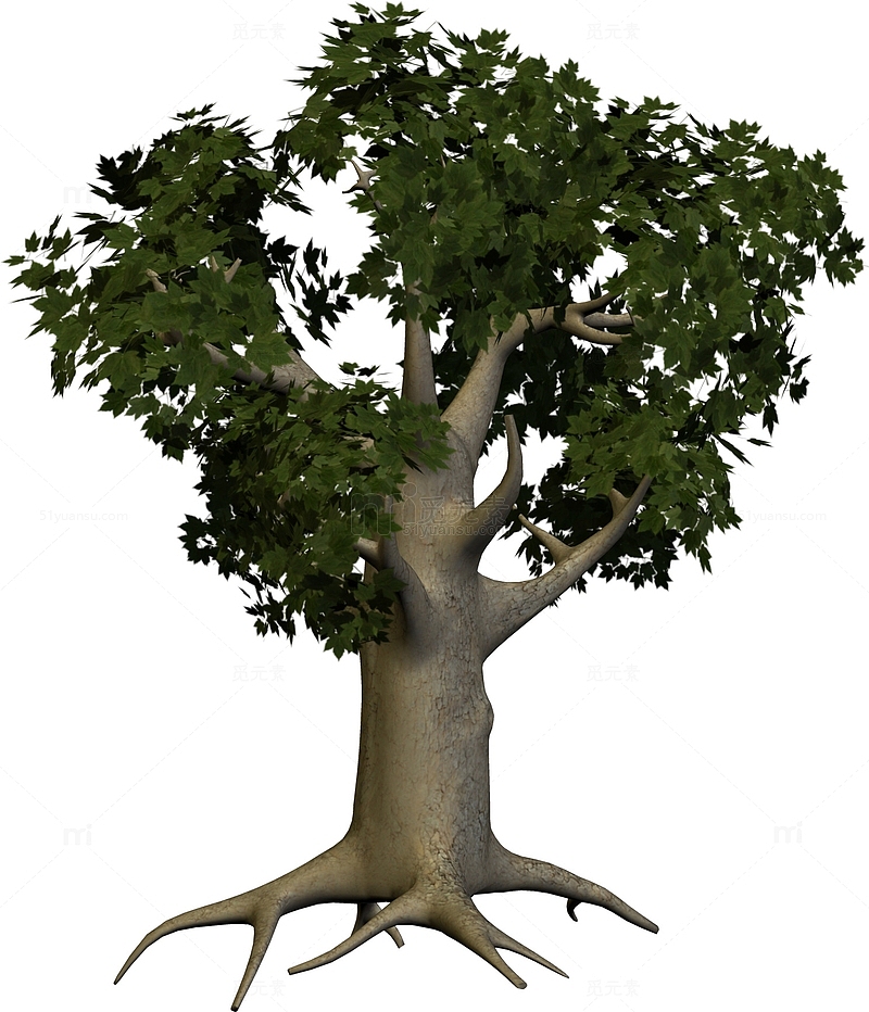 一颗3D建模的树