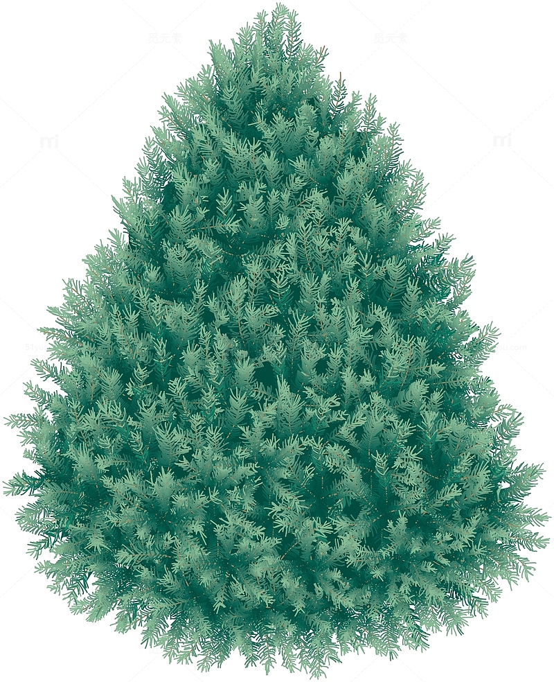 绿色圣诞树木