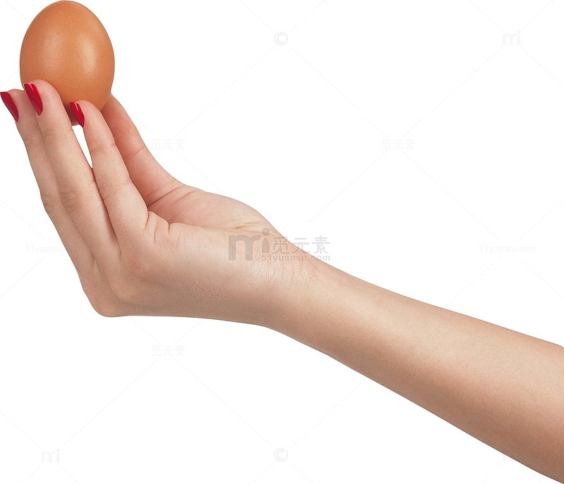 拿着鸡蛋的手