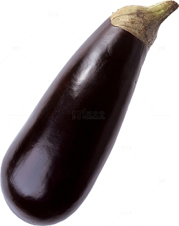 一条长茄子