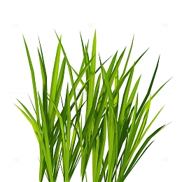 卡通草丛