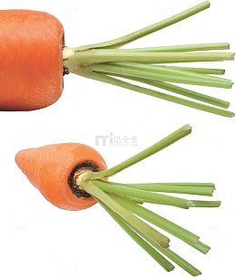 红色胡萝卜