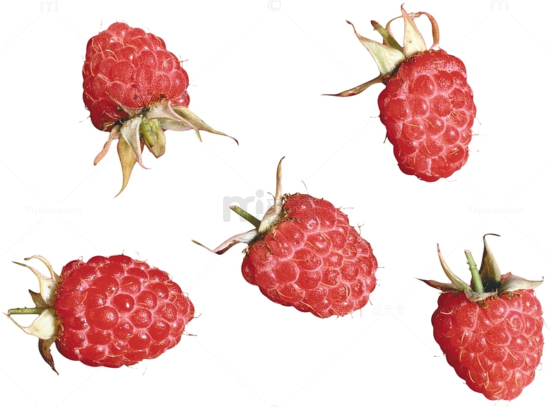 水果树莓