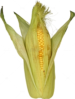 新鲜玉米