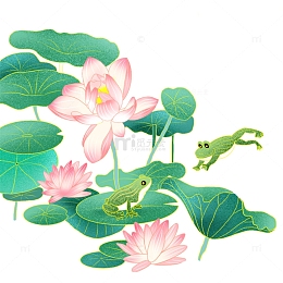 荷花青蛙荷叶池塘