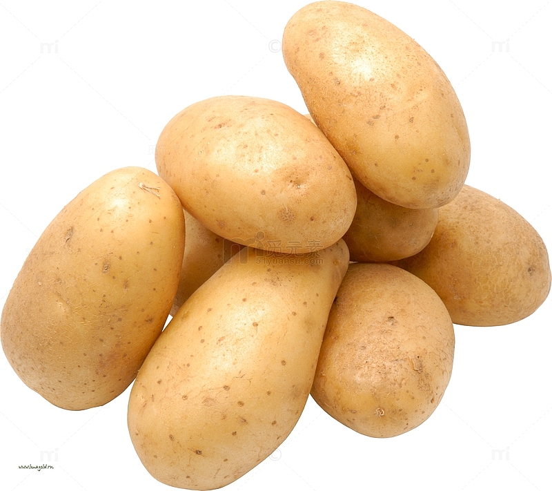 椭圆黄土豆