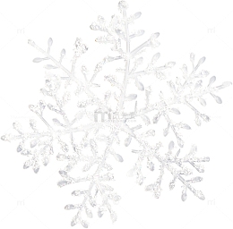 白色雪花