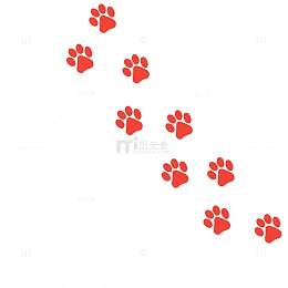 动物 猫 脚印 