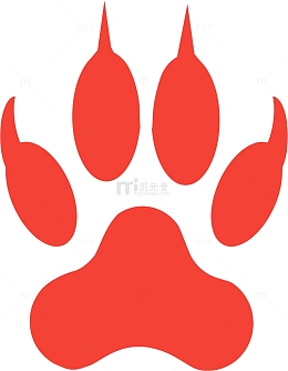 爪子 动物 野猫 脚印 狮子 捕食者 虎 狼 