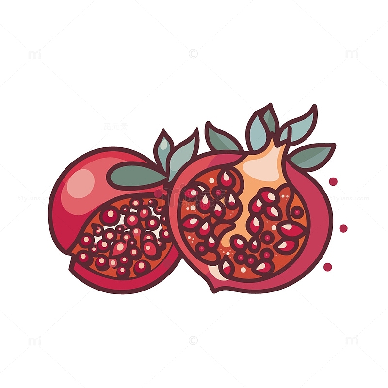 红石榴水果插画