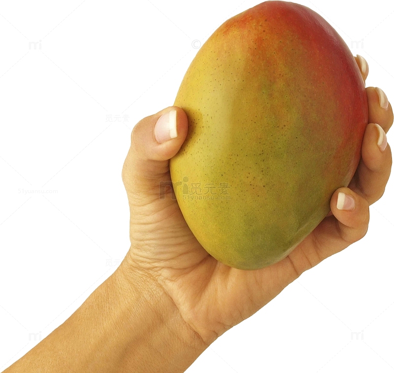 芒果在手