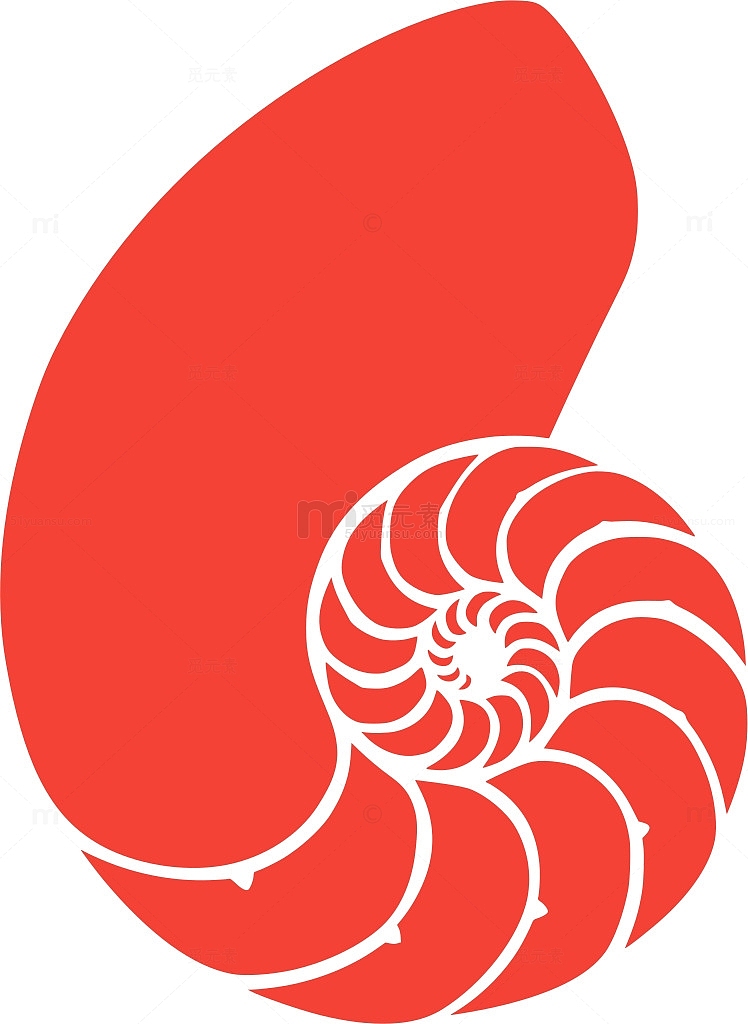 动物 水 海 贝壳 化石 螺旋 