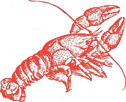 动物 甲壳动物 小龙虾 