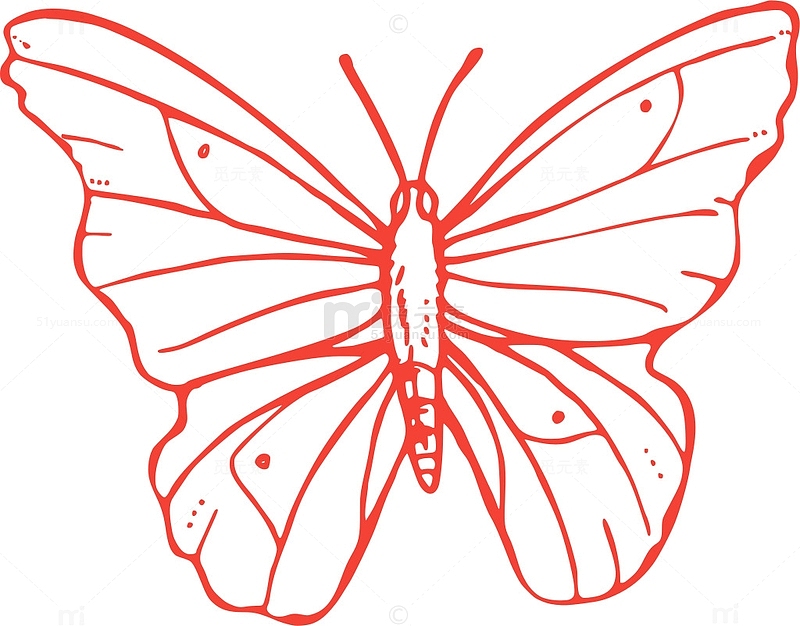 剪贴画  图案 动物 昆虫 装饰 艺术 插图