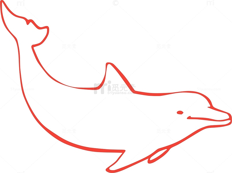 哺乳动物 动物 海洋 野生 鳍 海豚