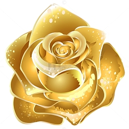 镀金玫瑰花
