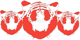 侵略性 野生 虎 条纹 野生动物 