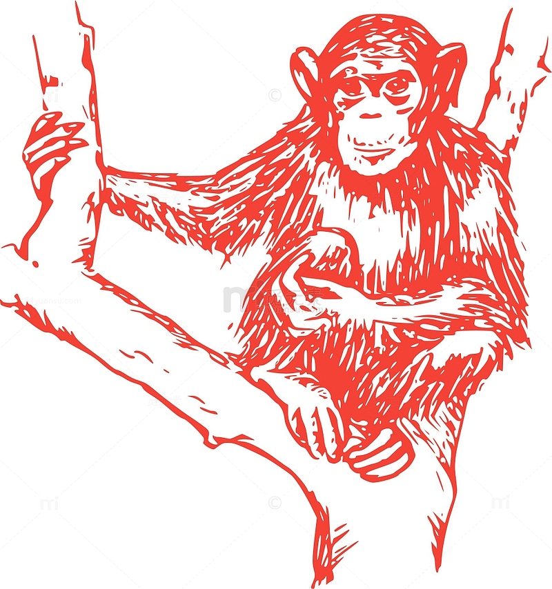 哺乳动物 动物 树 丛林 雨林 黑猩猩 黑猩猩 