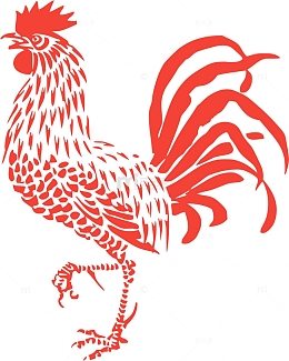 动物 鸟 家禽 公鸡 
