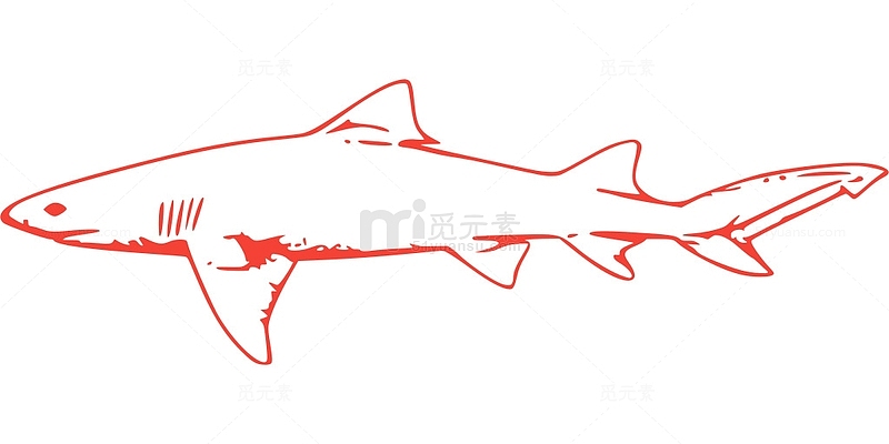 侵略性 海底 野生动物 热带动物 鲨鱼