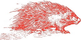 哺乳动物 动物 啮齿动物 脊柱