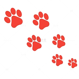 动物 猫 脚印 