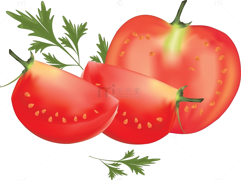 手绘番茄