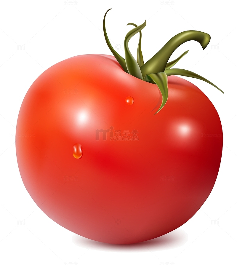 卡通西红柿图标