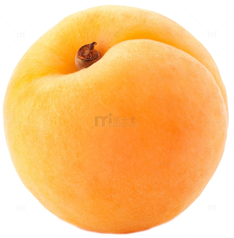 新鲜采摘黄杏杏子