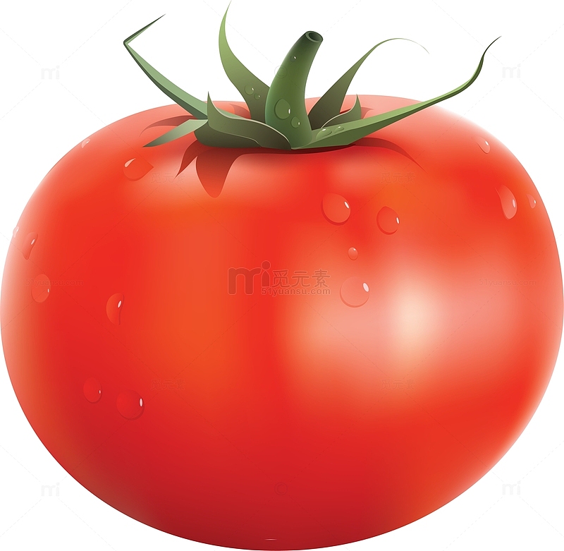 大红色番茄