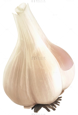 四瓣蒜头