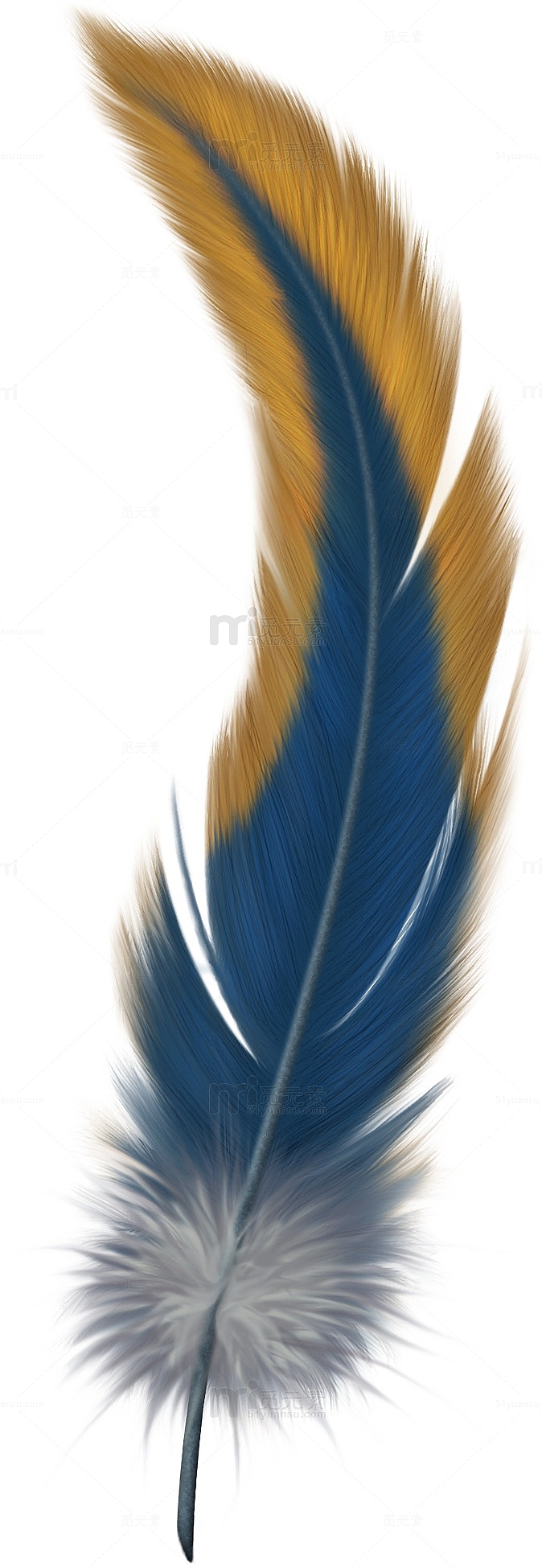 蓝黄色撞色羽毛