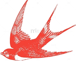 动物 飞行 鸟 燕子