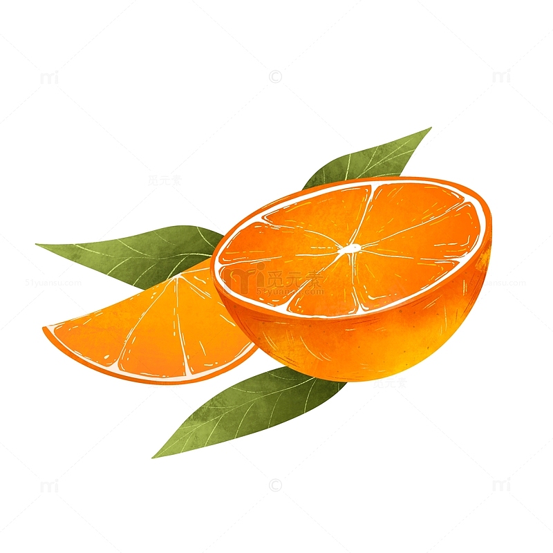手绘橘子橙子插画水果元素
