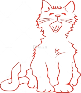 哺乳动物 动物 猫 宠物