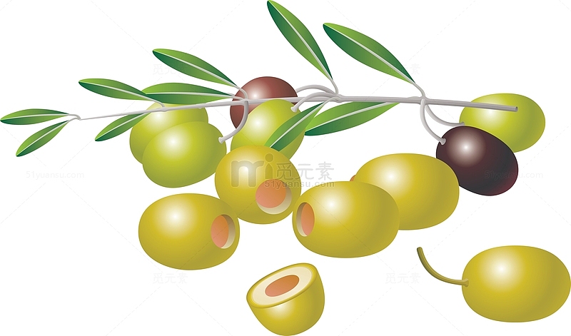 卡通油橄榄